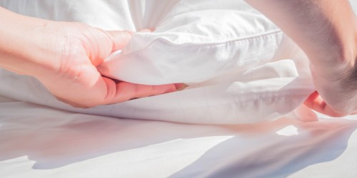 Dust Mite Allergy: Things You Should Know About Treatment and Management